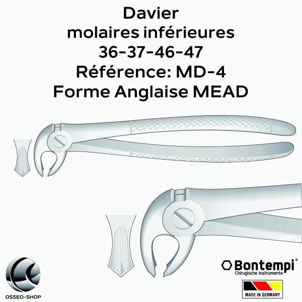 Daviers - Molaires inférieures - Bontempi