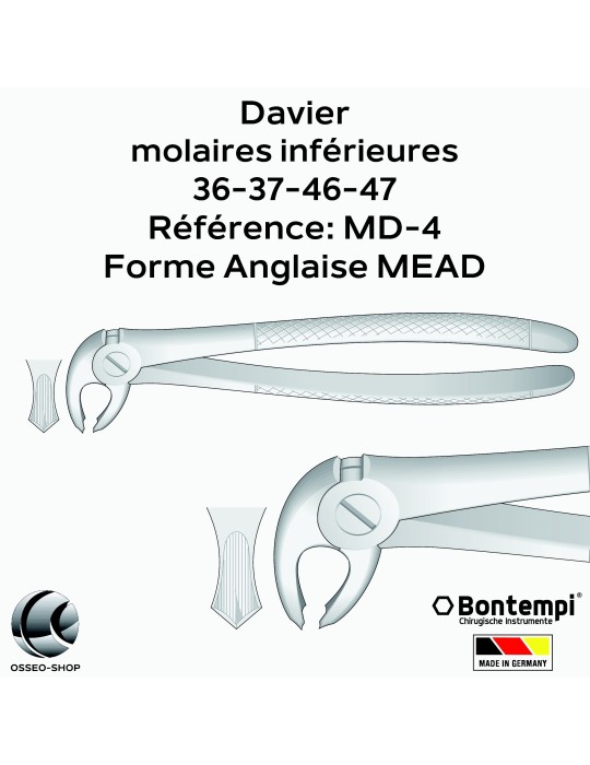 Daviers - Molaires inférieures - Bontempi