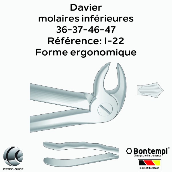 Daviers - Molaires inférieures - Bontempi