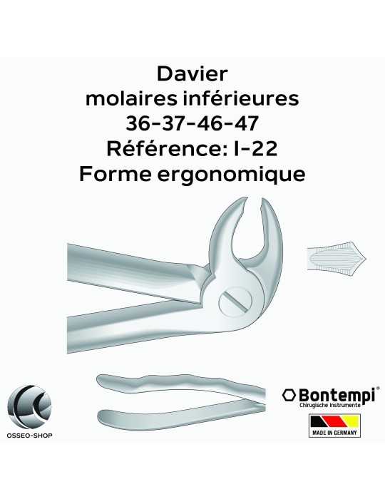Daviers - Molaires inférieures - Bontempi