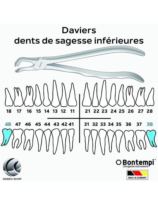 Daviers - Dents de sagesse inférieures - Bontempi