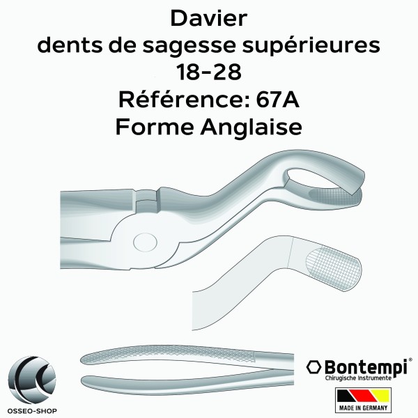 Daviers -Dents de sagesse supérieures - Bontempi