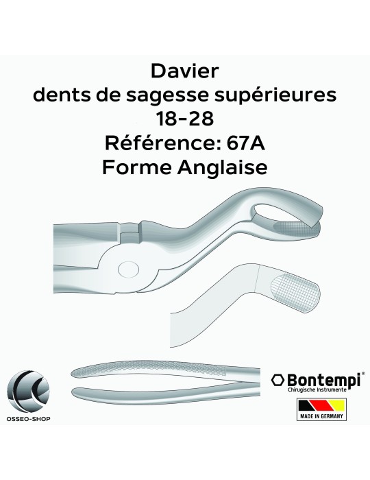 Daviers -Dents de sagesse supérieures - Bontempi
