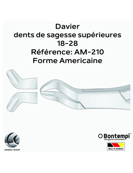 Daviers -Dents de sagesse supérieures - Bontempi