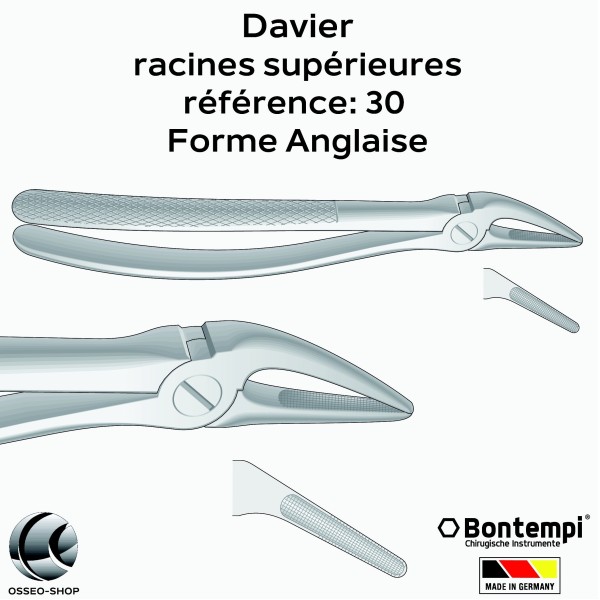 Daviers -Racines supérieures - Bontempi
