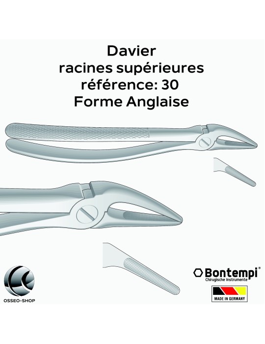 Daviers -Racines supérieures - Bontempi