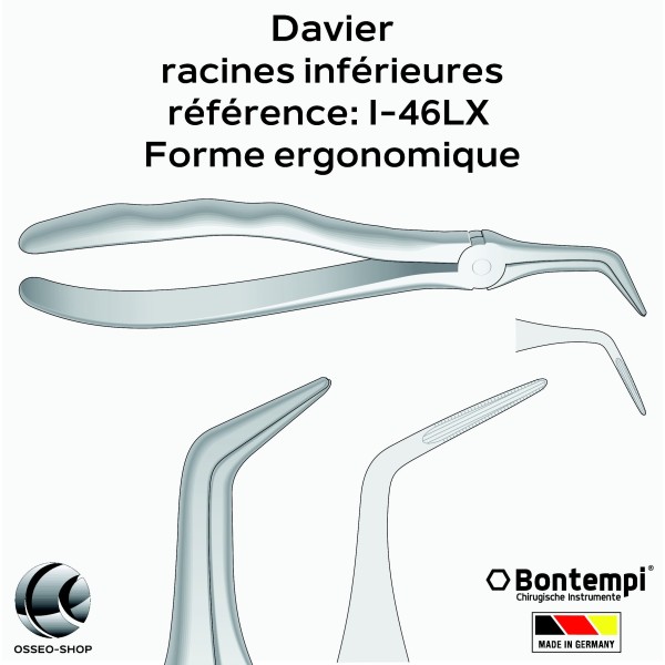 Daviers -Racines inférieures - Bontempi