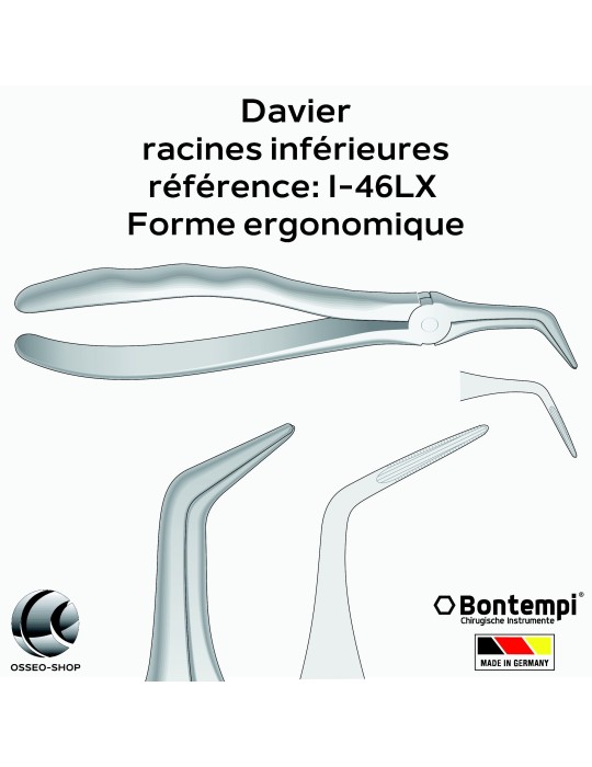 Daviers -Racines inférieures - Bontempi